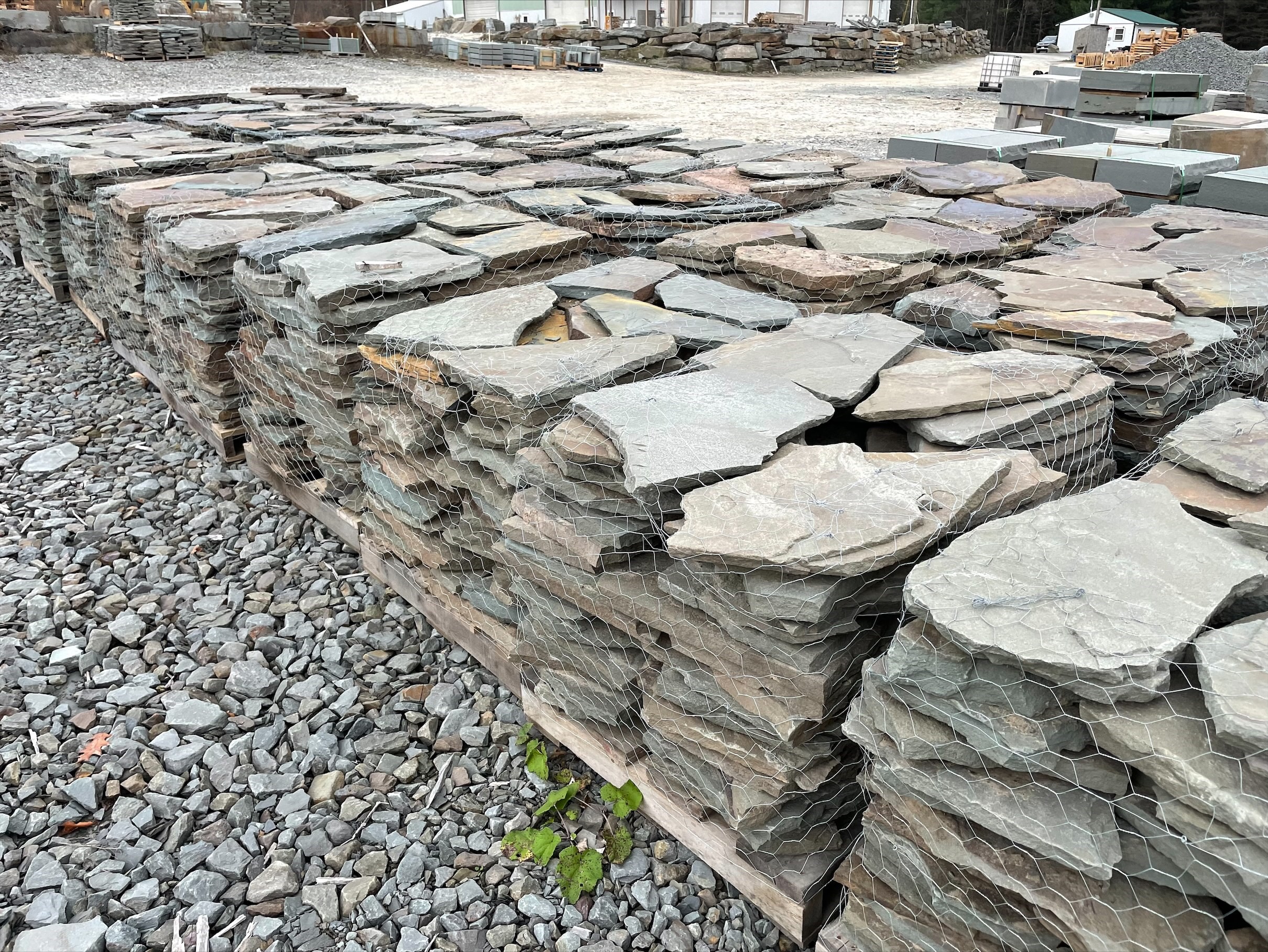 Colonial Garden Path Steppers — Steppers, Broken Flagging, Flagstone